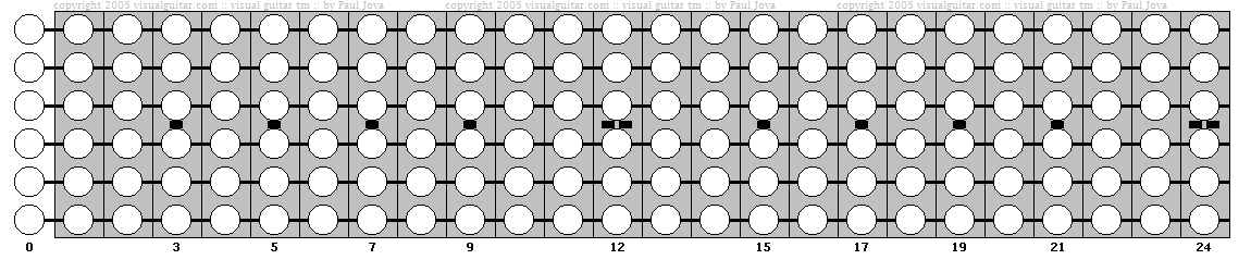 copyright visualguitar.com: guitar fretboard blank